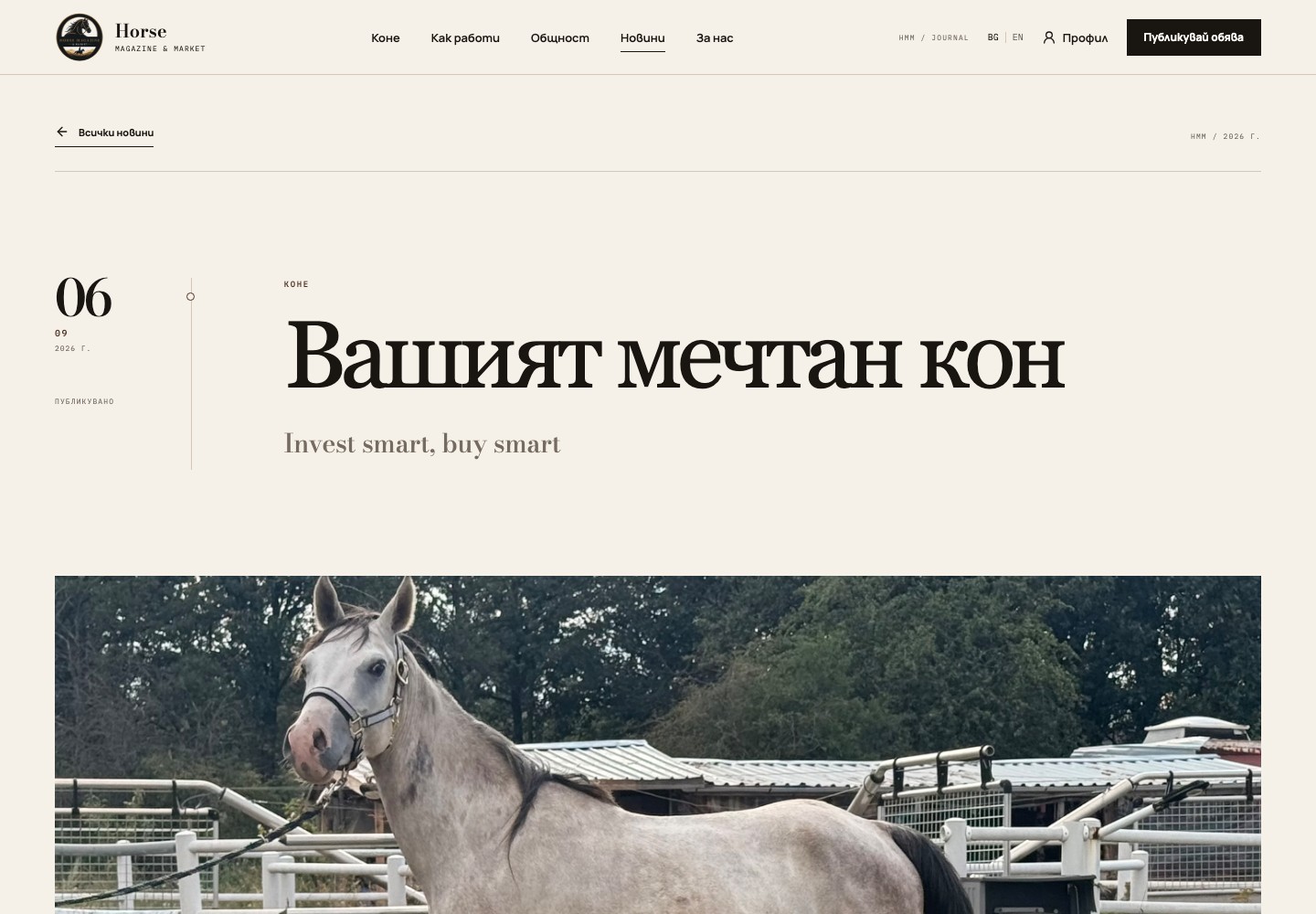 Horse Magazine & Market: stories and news